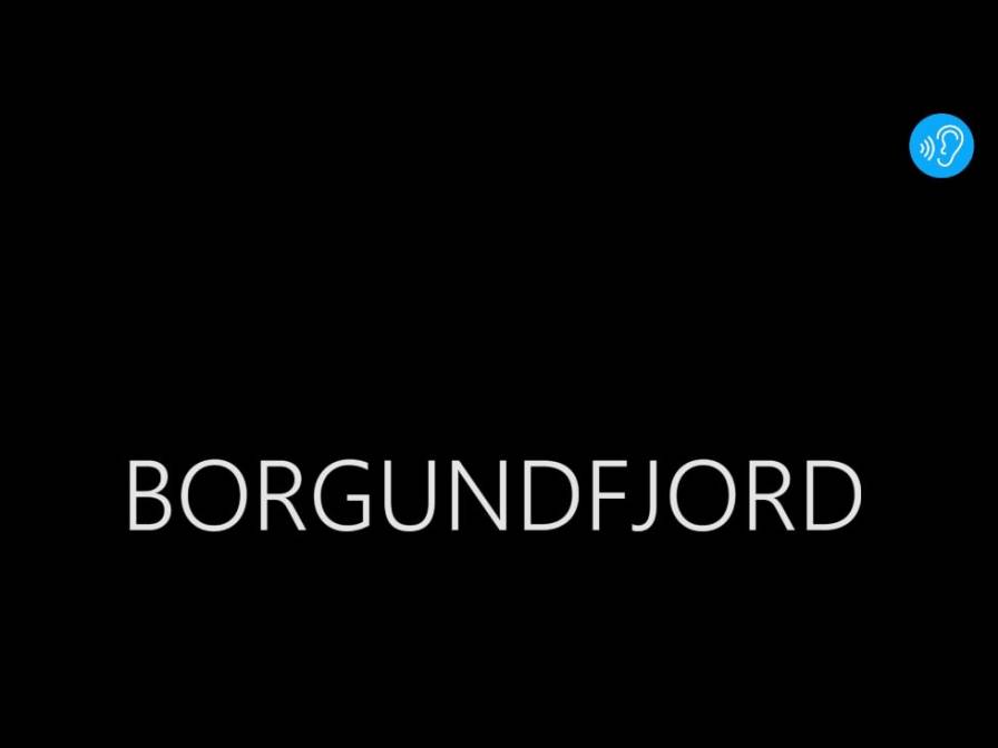 AG 39 Borgund
